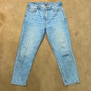 American Eagle Straight Legged Strigid Jeans